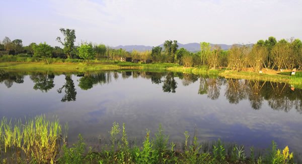 广阳岛生态修复二期、生态设施（清洁能源、固废循环利用 生态化供排水）及绿色交通EPC工程
